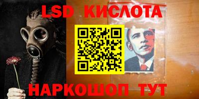 амф Камышлов