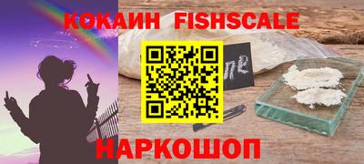 амф Камышлов