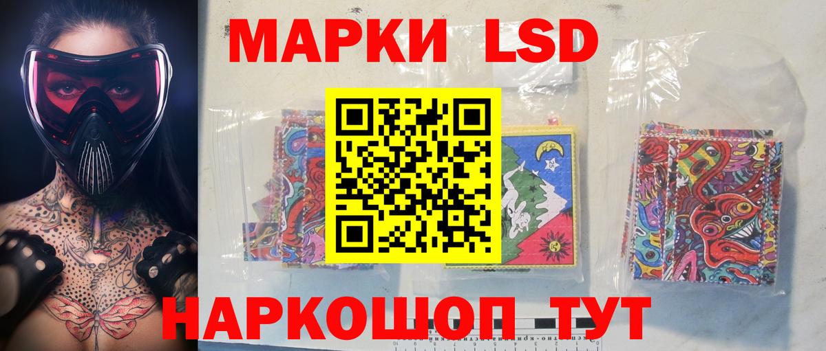 Новозыбков  Лсд 25 экстази кислота  Лсд 25 экстази кислота  Вход с VPN 