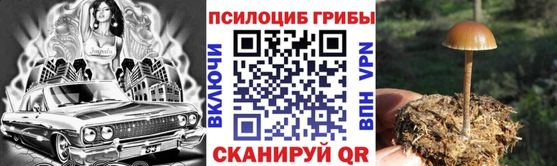 Галлюциногенные грибы ЛСД  купить   KRAKEN онион  Новозыбков 