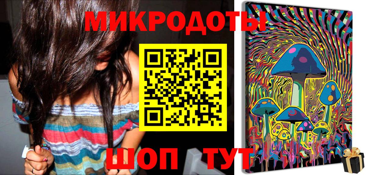 Псилоцибиновые грибы Psilocybe Новозыбков